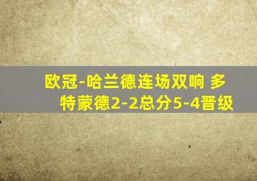 欧冠-哈兰德连场双响 多特蒙德2-2总分5-4晋级